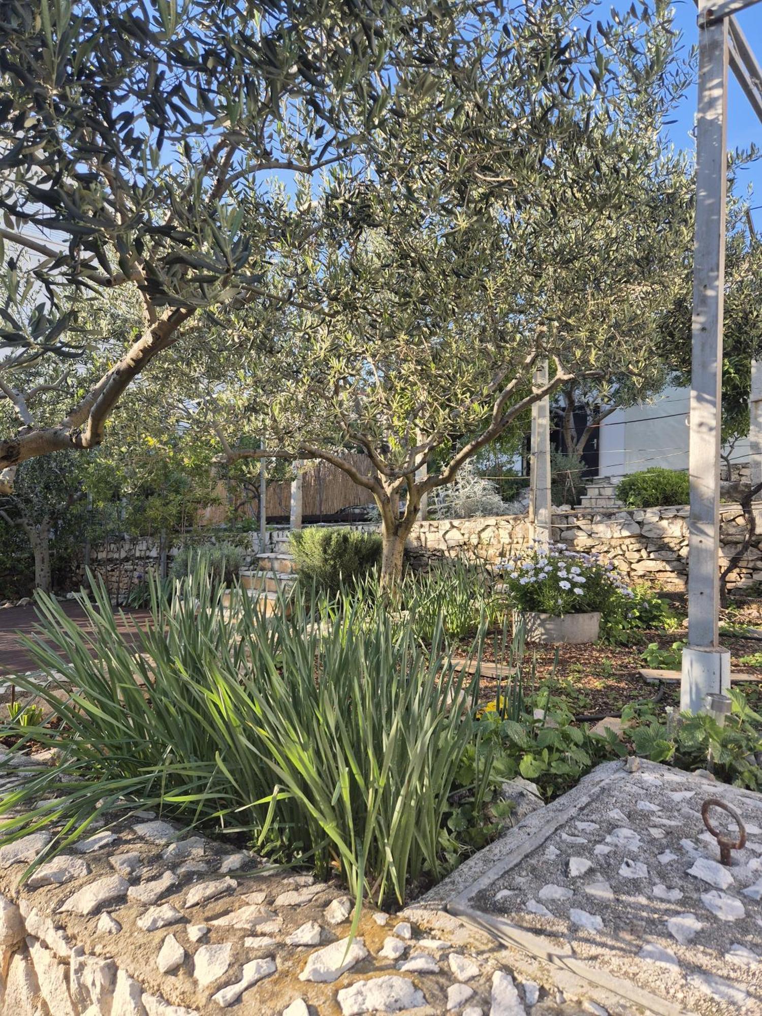 סגט ווראנייצה Villa Apartments Oliva מראה חיצוני תמונה